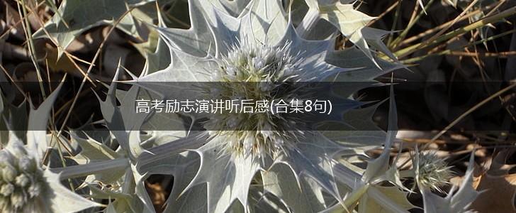 高考励志演讲听后感(合集8句),第1张