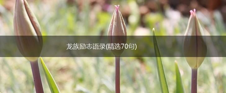 龙族励志语录(精选70句),第1张
