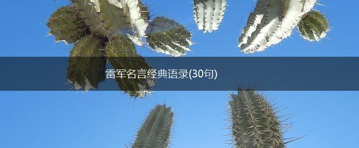 雷军名言经典语录(30句),第1张