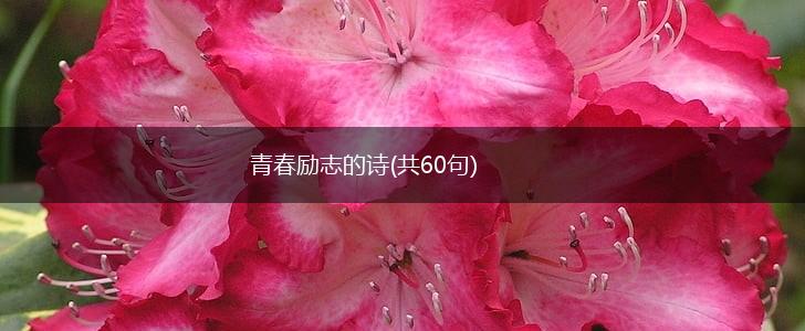 青春励志的诗(共60句),第1张