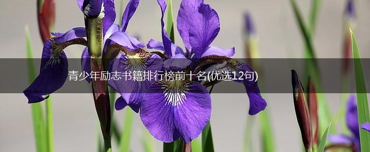 青少年励志书籍排行榜前十名(优选12句),第1张