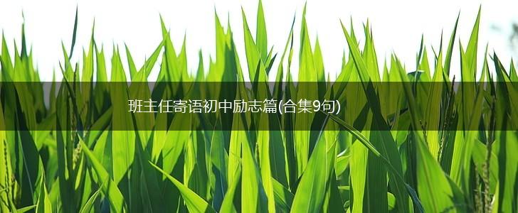 班主任寄语初中励志篇(合集9句),第1张 班主任寄语初中励志篇(合集9句),第1张