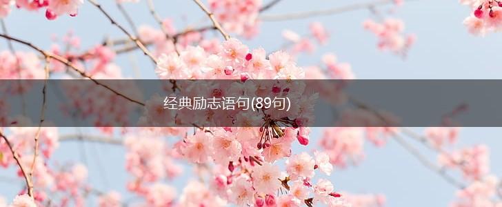 经典励志语句(89句),第1张 经典励志语句(89句),第1张