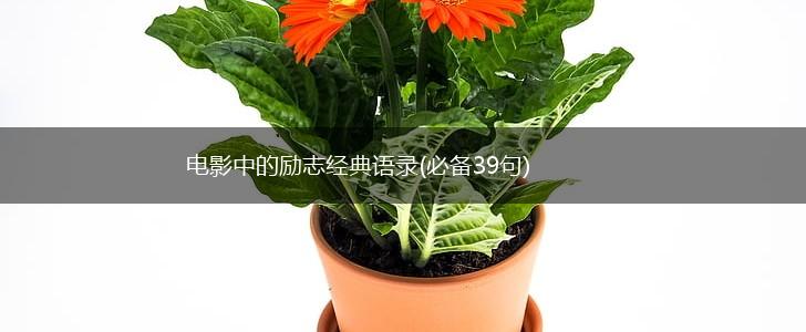 电影中的励志经典语录(必备39句),第1张