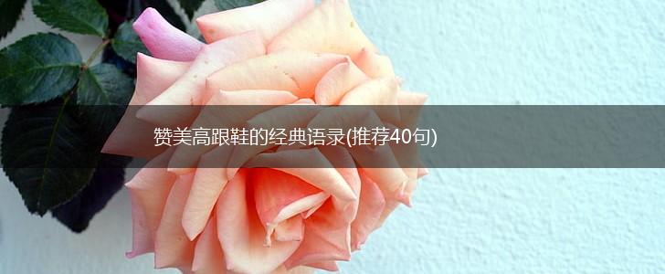 赞美高跟鞋的经典语录(推荐40句),第1张