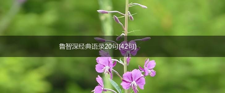 鲁智深经典语录20句(42句),第1张