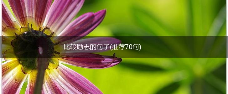 比较励志的句子(推荐70句),第1张