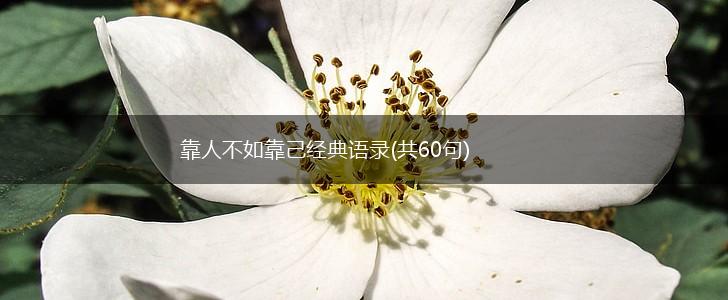 靠人不如靠己经典语录(共60句),第1张