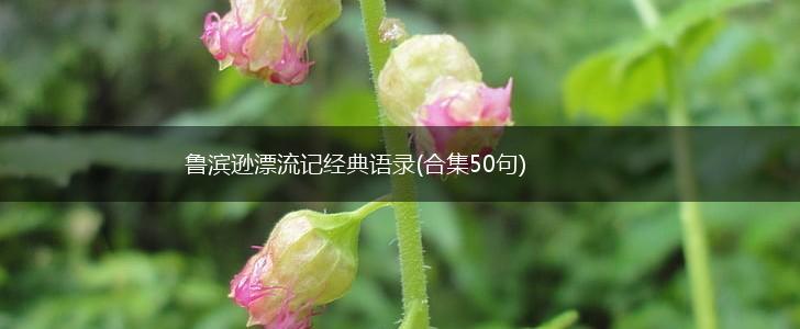 鲁滨逊漂流记经典语录(合集50句),第1张