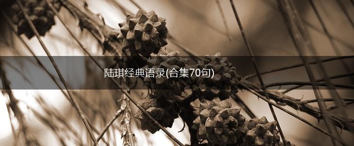 陆琪经典语录(合集70句),第1张