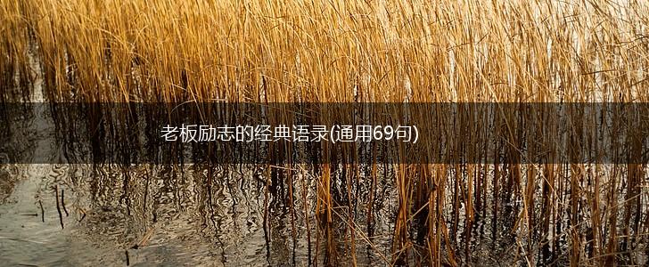 老板励志的经典语录(通用69句),第1张 老板励志的经典语录(通用69句),第1张