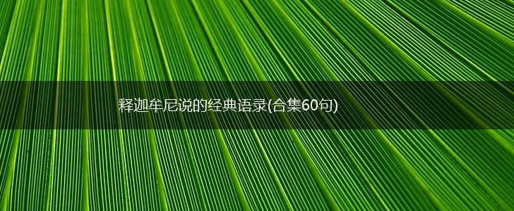 释迦牟尼说的经典语录(合集60句),第1张