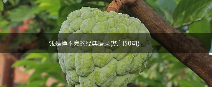 钱是挣不完的经典语录(热门50句),第1张