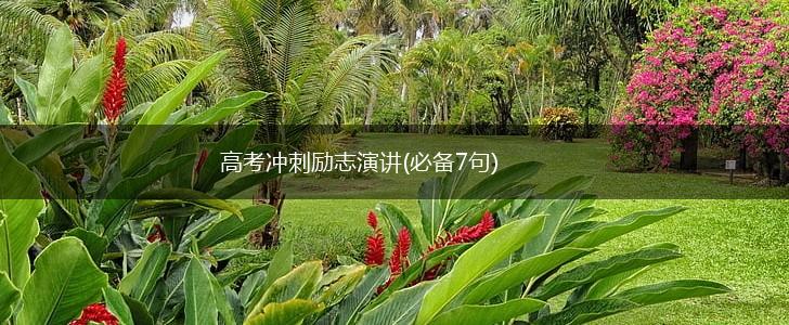 高考冲刺励志演讲(必备7句),第1张