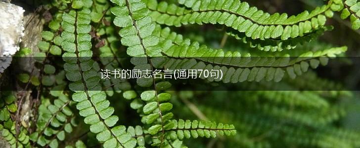 读书的励志名言(通用70句),第1张