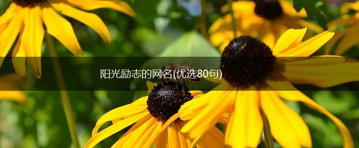 阳光励志的网名(优选80句),第1张