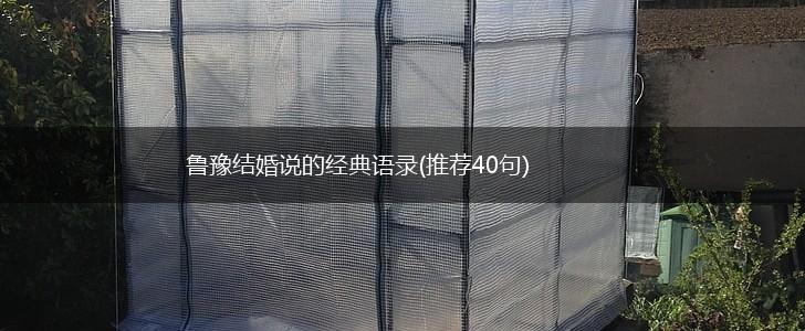 鲁豫结婚说的经典语录(推荐40句),第1张