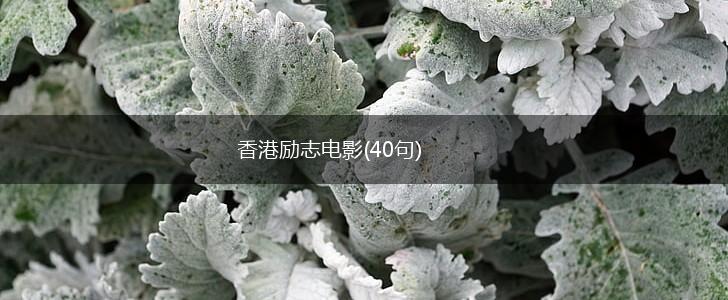 香港励志电影(40句),第1张