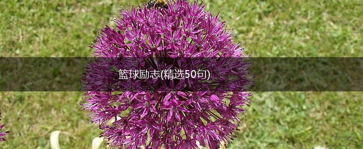 篮球励志(精选50句),第1张 篮球励志(精选50句),第1张