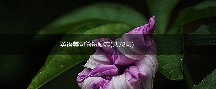 英语美句简短励志(共78句),第1张