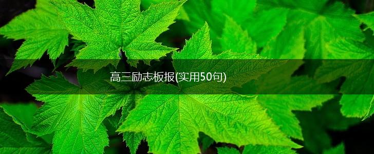 高三励志板报(实用50句),第1张