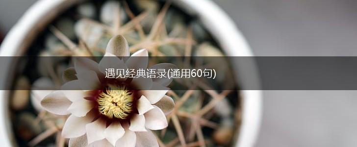 遇见经典语录(通用60句),第1张