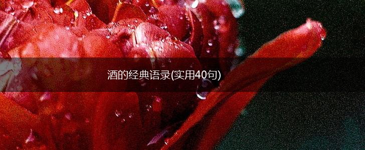 酒的经典语录(实用40句),第1张 酒的经典语录(实用40句),第1张