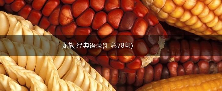 龙族 经典语录(汇总78句),第1张