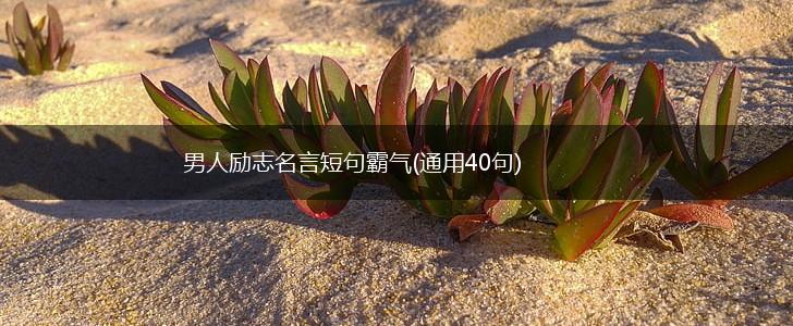 男人励志名言短句霸气(通用40句),第1张