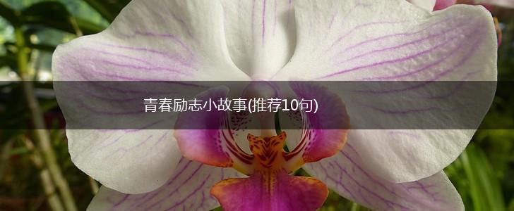 青春励志小故事(推荐10句),第1张