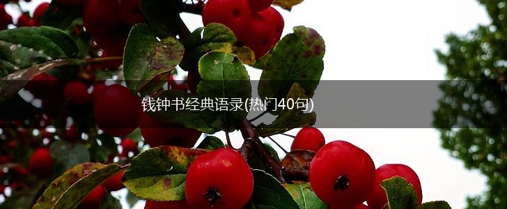 钱钟书经典语录(热门40句),第1张