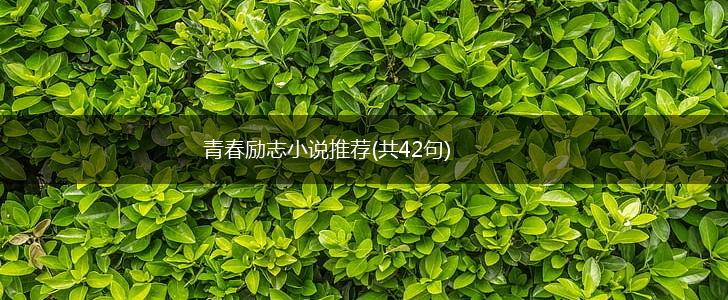 青春励志小说推荐(共42句),第1张