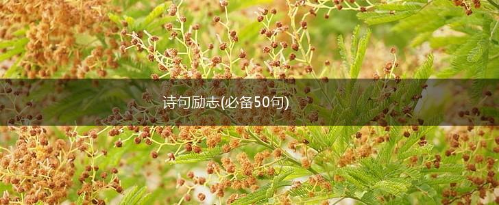 诗句励志(必备50句),第1张