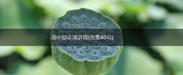 高中励志演讲稿(合集40句),第1张