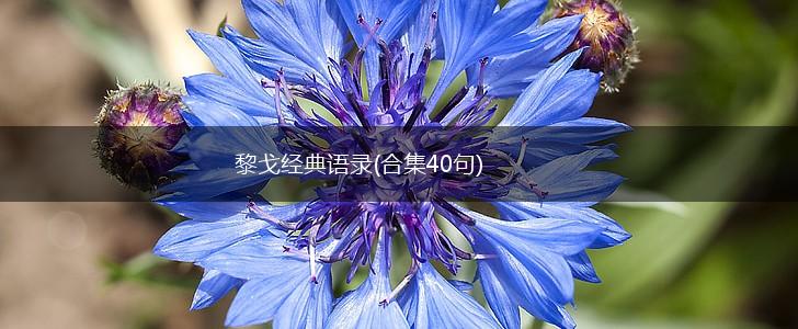 黎戈经典语录(合集40句),第1张