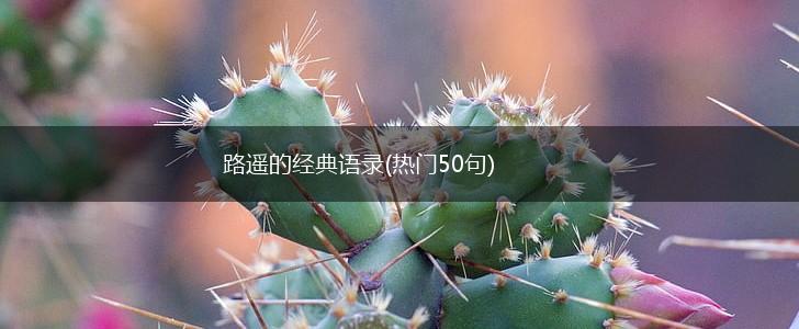 路遥的经典语录(热门50句),第1张