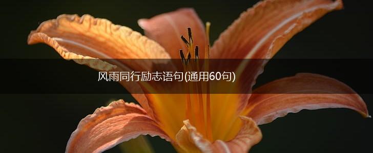 风雨同行励志语句(通用60句),第1张