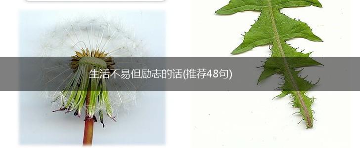 生活不易但励志的话(推荐48句),第1张