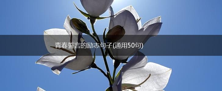 青春誓言的励志句子(通用50句),第1张