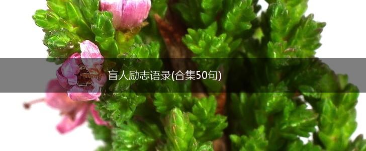 盲人励志语录(合集50句),第1张
