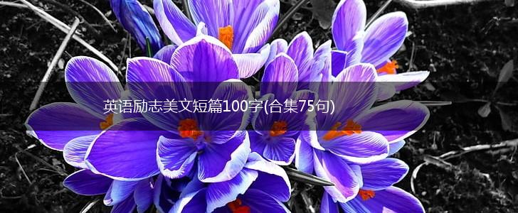 英语励志美文短篇100字(合集75句),第1张