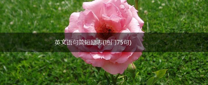 英文语句简短励志(热门75句),第1张