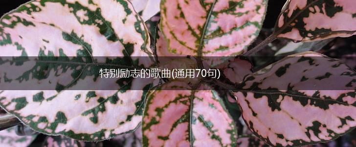 特别励志的歌曲(通用70句),第1张