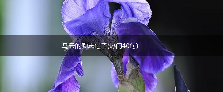 马云的励志句子(热门40句),第1张