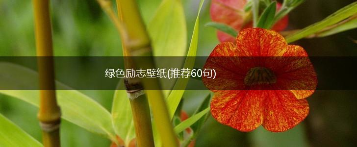 绿色励志壁纸(推荐60句),第1张 绿色励志壁纸(推荐60句),第1张