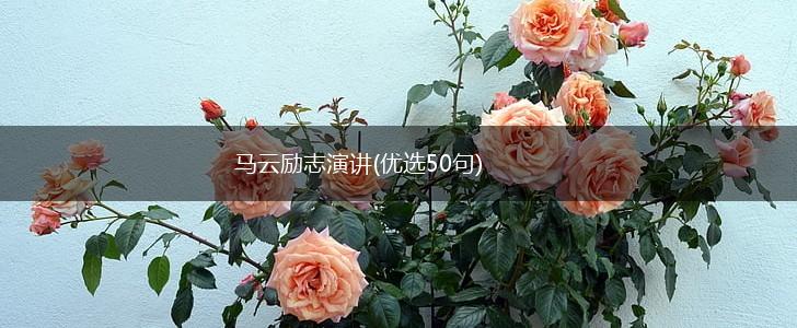 马云励志演讲(优选50句),第1张
