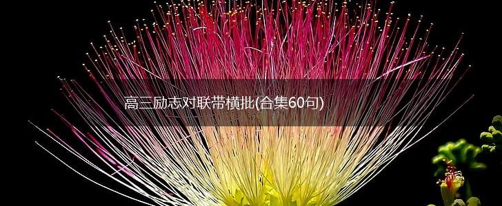高三励志对联带横批(合集60句),第1张