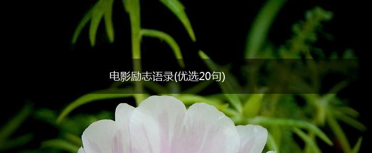 电影励志语录(优选20句),第1张