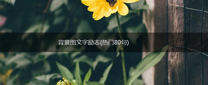 背景图文字励志(热门80句),第1张 背景图文字励志(热门80句),第1张