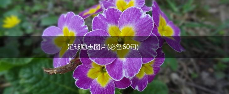 足球励志图片(必备60句),第1张